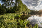 Der See 2