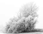 Weißes Winter-Mysterium