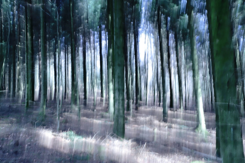 Wald3