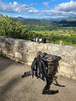 Provence - Fotopause