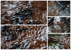 Alles nur Wasser ... 