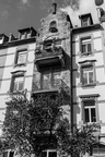 IMG 6429