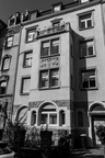 IMG 6438