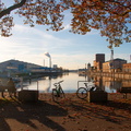 Herbst im Hafen