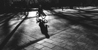 Lange Schatten