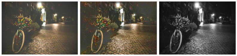 fahrradf.jpg