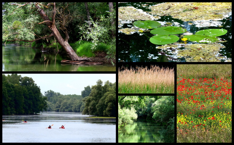 5_landschaft_4500_2800.jpg