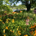 Sommertraum
