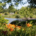 Sommertraum